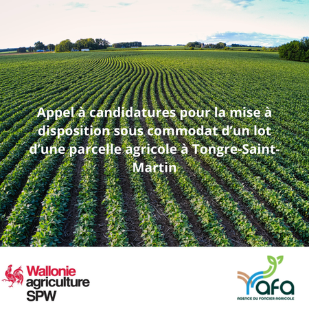 Illustration de l'actualité - cliquer pour agrandir