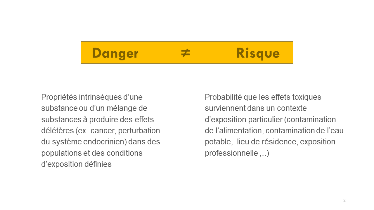 Diapositive2